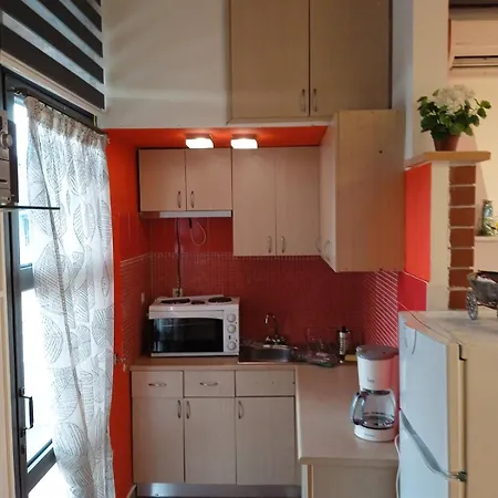 Harmony Sophie's Neon Rysion