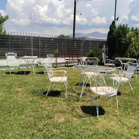 Harmony Sophie's Neon Rysion