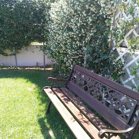 Harmony Sophie's * Neon Rysion