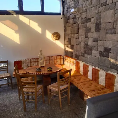 Harmony Sophie's * Neon Rysion