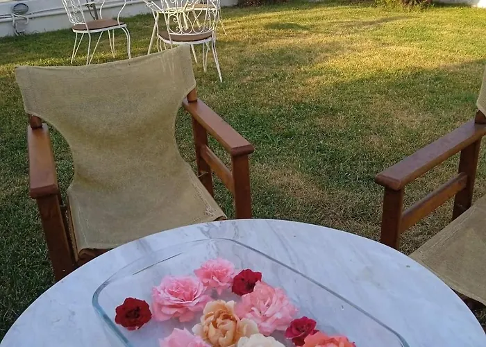 Tatil Evi Harmony Sophie's Neon Rysion