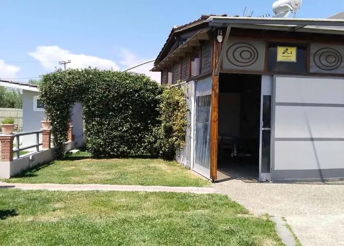 Harmony Sophie's * Neon Rysion