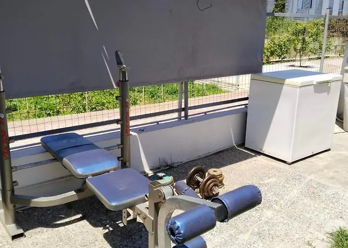 Harmony Sophie's Neon Rysion