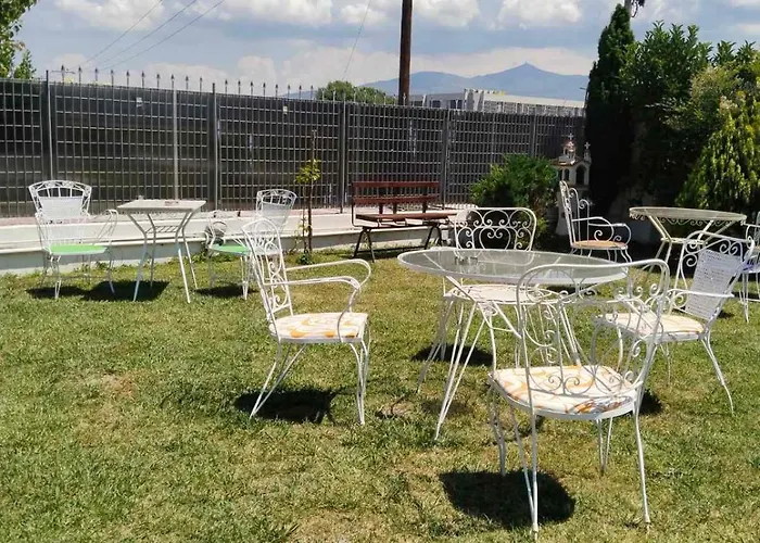 Harmony Sophie's Neon Rysion