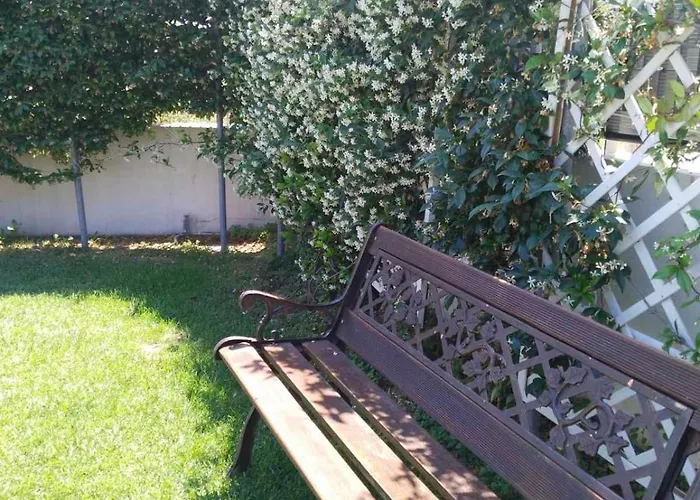 Harmony Sophie's * Neon Rysion