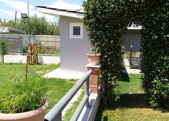 Harmony Sophie's Tatil Evi