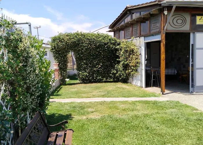 Harmony Sophie's Tatil Evi Neon Rysion