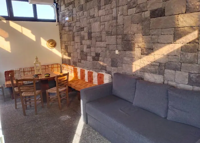 Harmony Sophie's Tatil Evi Neon Rysion