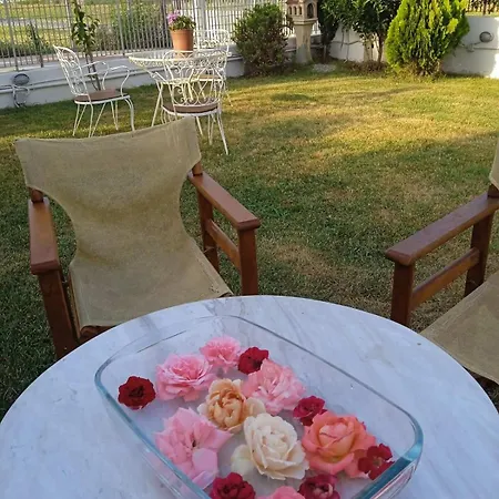 度假居 Harmony Sophie's Neon Rysion